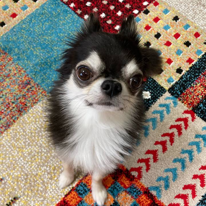 Bb2ed5fb 2381 48ae 8227 8ce2708cf21b 1699784610057