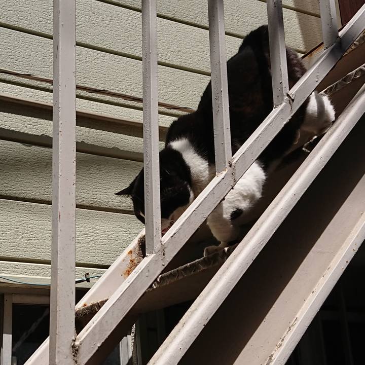 Bb2ef96f 531c 49ce 8b70 dd2fdb7c515f 1651292720191