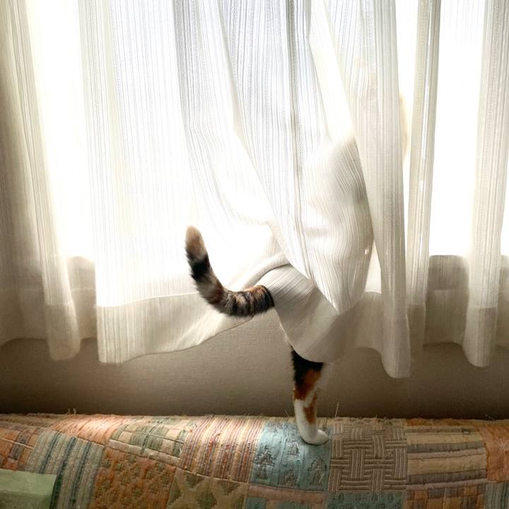 Bb2f1c7c 9fcc 4d10 a3fb 30de60d01ed6 1715124919788