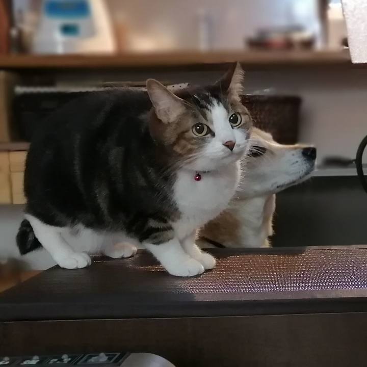 Bb2f3c8a e3db 45c6 8bbc 2a99ec305726 1584588172304