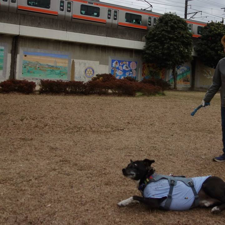 Bb2f769c cc2d 4fec 8e7c 6400ad722554 1706836775976