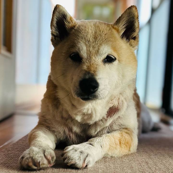 Bb2f9e81 e09b 4cde acb9 b7888bb8f96c 1747028279339