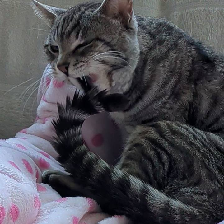 Bb301dda 57d9 47dd a5e6 bcaab36ce537 1739857133678