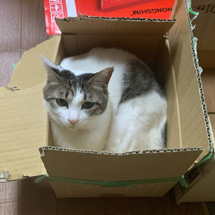 Bb304903 3f29 4944 89ad f86a27bbcb89 1606124066135