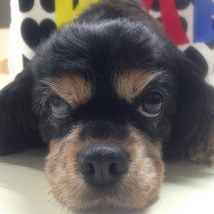 Bb3050e4 4040 405e 85f2 4659afee0a1f 1523353265089