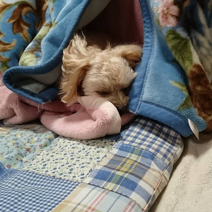 Bb309933 004d 4d0b 8bfa 48df4e34962f 1511050278431