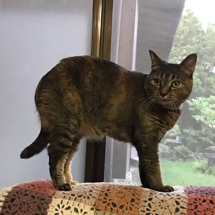 Bb30a3ec b5ce 4ccd 8a0f a9bb9a8df86d 1718278901432