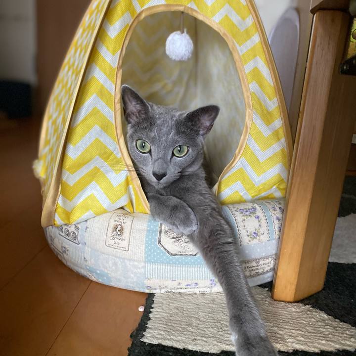 Bb30dfe7 380b 4960 bc64 12a878fa4fd7 1659860534145