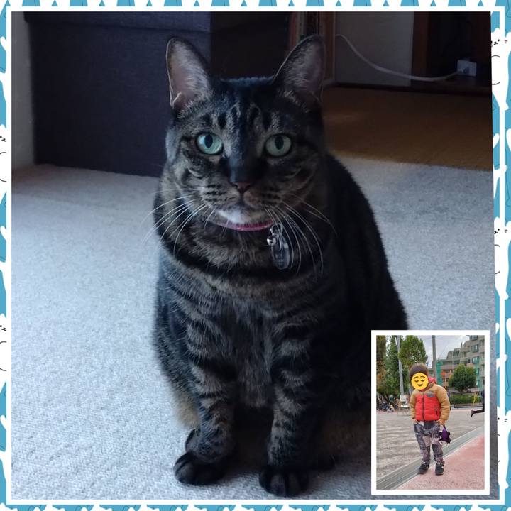 Bb30f154 f856 4f14 acc5 89c0f6aa0742 1762837351148