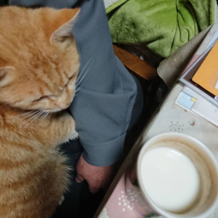 Bb30f76a e251 4f0d 861e ec855d546b71 1587591767242