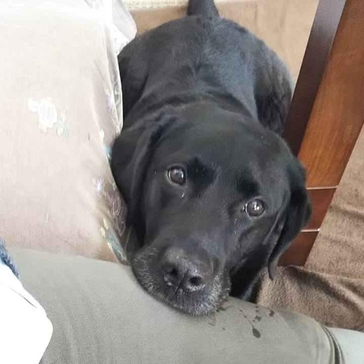 Bb31011b b3e7 44eb 95cd 8a5bfc55a3bd 1691806830017