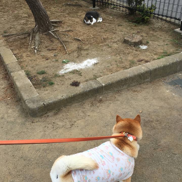 Bb312168 1bb9 401f b92a 4b91107c4410 1613300507889