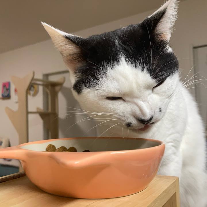 Bb315cbd e32c 4cb4 8f0e 1fe679d91534 1763759422884