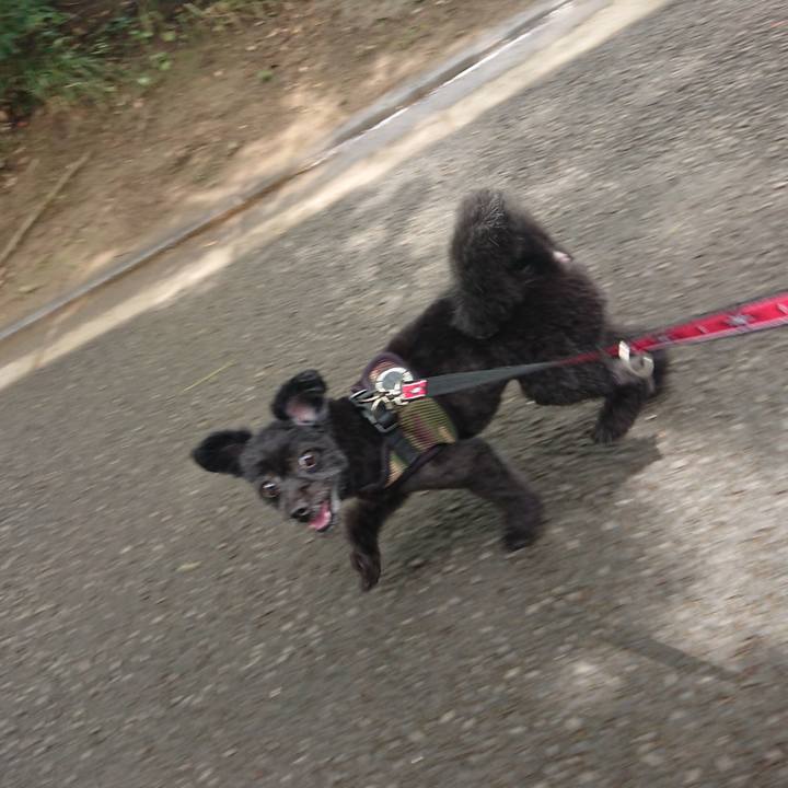 Bb317892 8bbc 4e6b 8433 ecdcec65496c 1529813692925