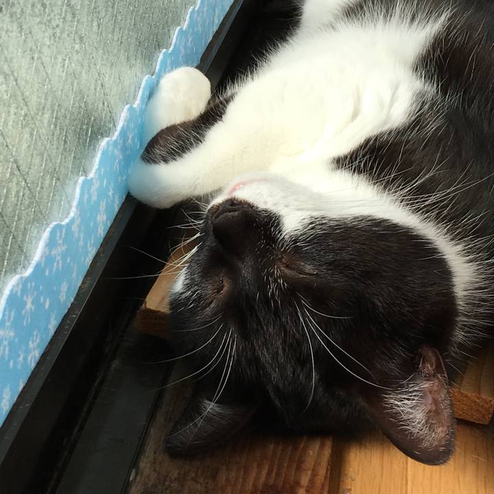 Bb319de2 a39f 4751 9c67 41b95d1e8311 1516510262248