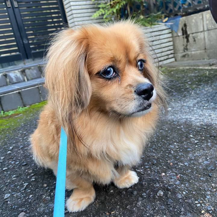 Bb31d144 526d 495f 9084 d60eeb62fe46 1601500331971