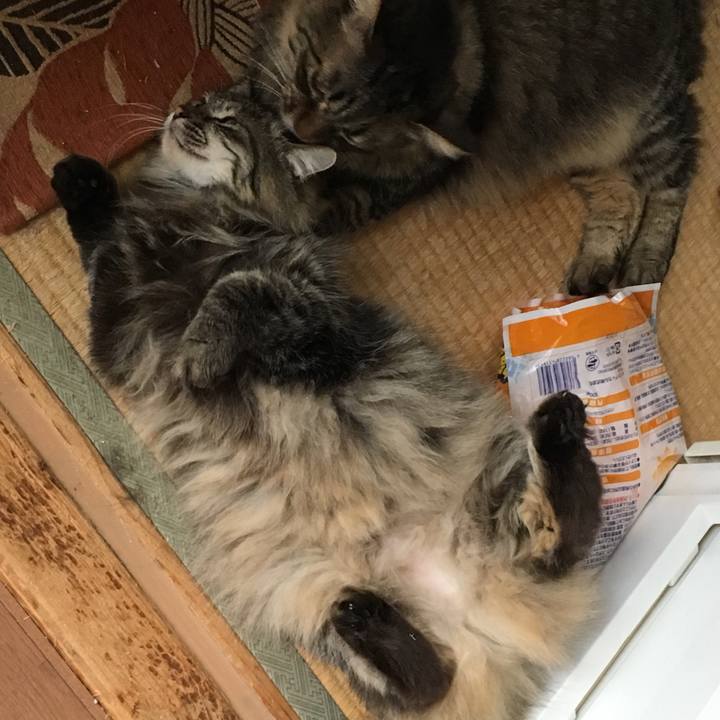 Bb31fc83 212f 4b5f 95e3 b102d0aaa119 1555582933059