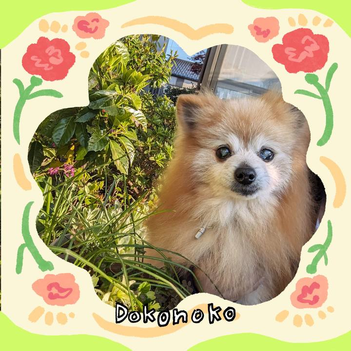 Bb32662f 4f2d 4491 8420 2d0b83c3ee14 1715168156813