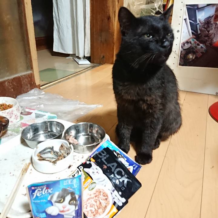 Bb326d3a 763e 4a61 afa5 828238b47b8d 1626181666155