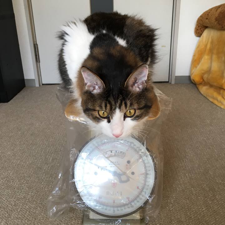 Bb326fdd 53a9 46bc 9b0e e6878f5ed310 1518316985653