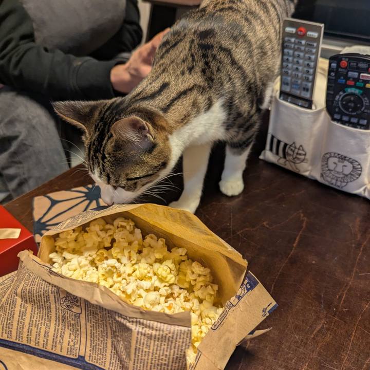 Bb327a35 0272 4495 bca8 fc05890e2295 1736754919357