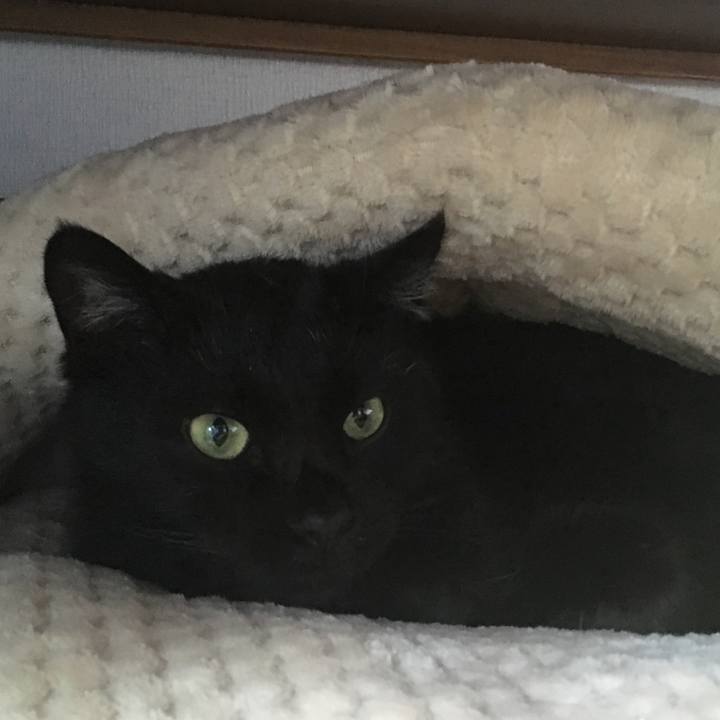 Bb32ac94 c9e8 46f2 884b b23227207d6d 1541308105598