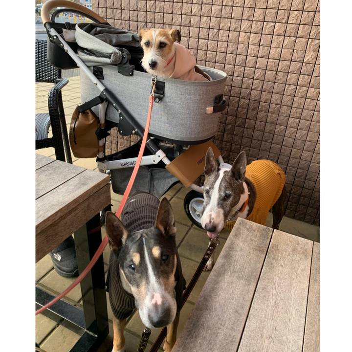 Bb32da15 0b26 4065 a569 1e6188561c79 1614072253604