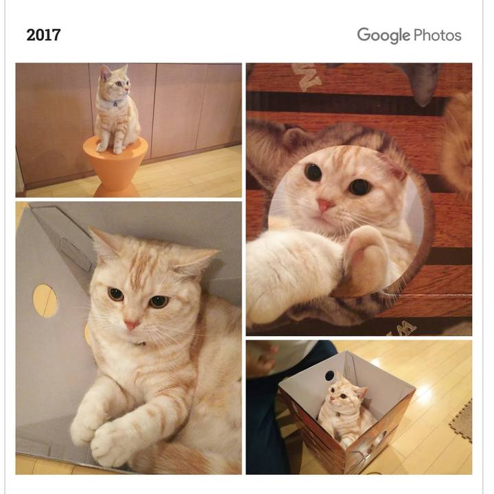 Bb32db9f f4d5 4b79 a432 f8fca57d78f1 1555028718782