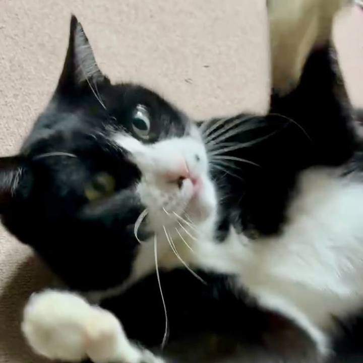 Bb32f231 b123 4ed9 b09d ef93ca2a30aa 1768473530473