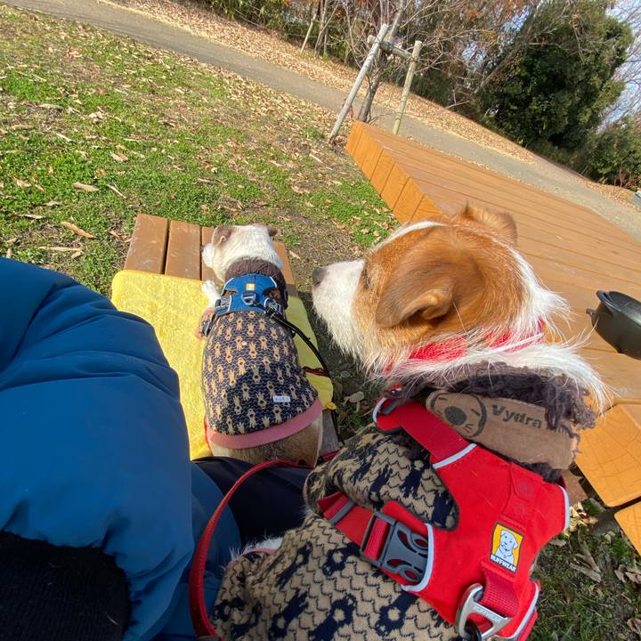 Bb333ea7 a2a3 4283 b8ff 6f4b07d97f95 1640749616827