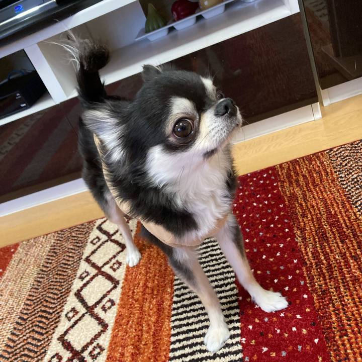 Bb3359b4 3cd3 439c 9fbc fedfb246720c 1673103653371