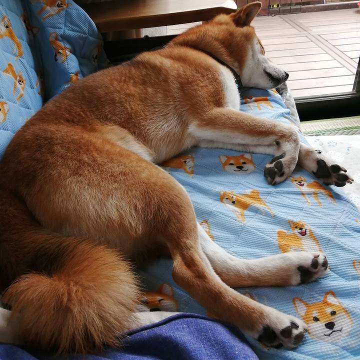 Bb3362cd 573f 49c9 ac62 e5b846d662cc 1623639467762