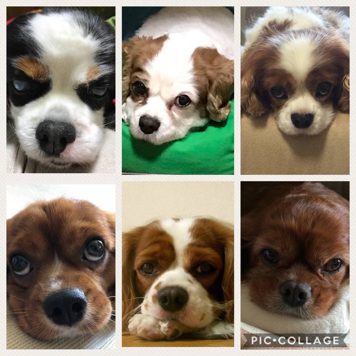 Bb33a2de d922 484e 99e5 26e819e697d9 1532868353144