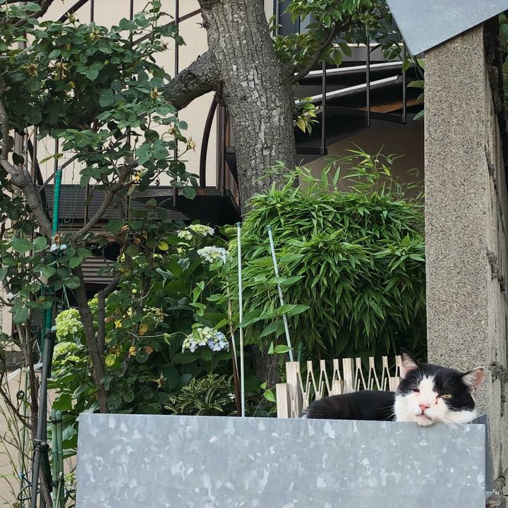 Bb33bd4e c5b5 4d37 8a72 6c7dd3af8f66 1527171911006