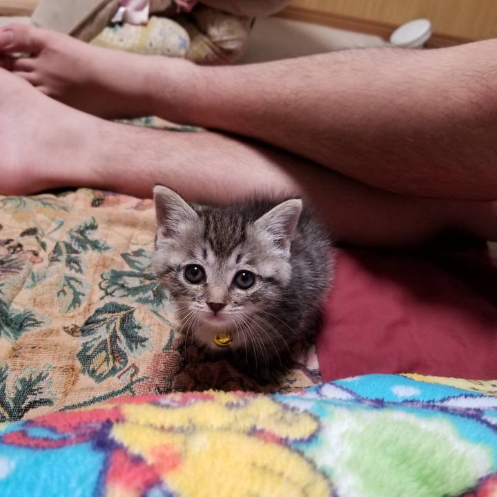 Bb33cf47 01a1 4ec1 b88e a244c75d7a9c 1661182048210