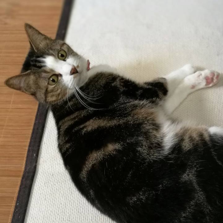 Bb33ed85 5905 4259 96da 1a0908fc4fb3 1534732883537