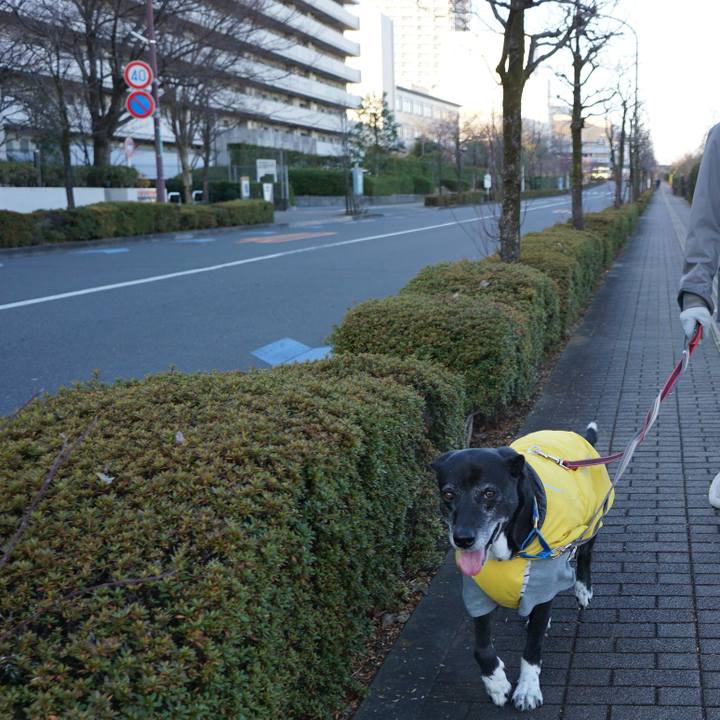 Bb33ee4e c721 414d 8e0a f23082943fb1 1766968756541