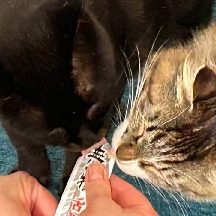 Bb33fe94 46c0 481e b61f d0ba6ef231de 1774662087416