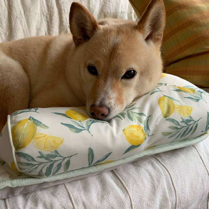 Bb341014 9db9 4abb bd59 64e47880ca3d 1622330776958