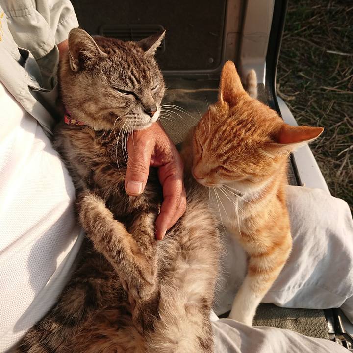 Bb34256d 24c2 4d8e 9f7a 4a8b93f8e6f3 1591304201900