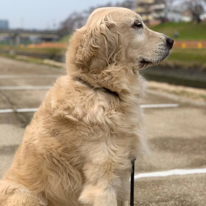 Bb349a00 6515 4a95 99f3 3e9f644960e5 1553925075963