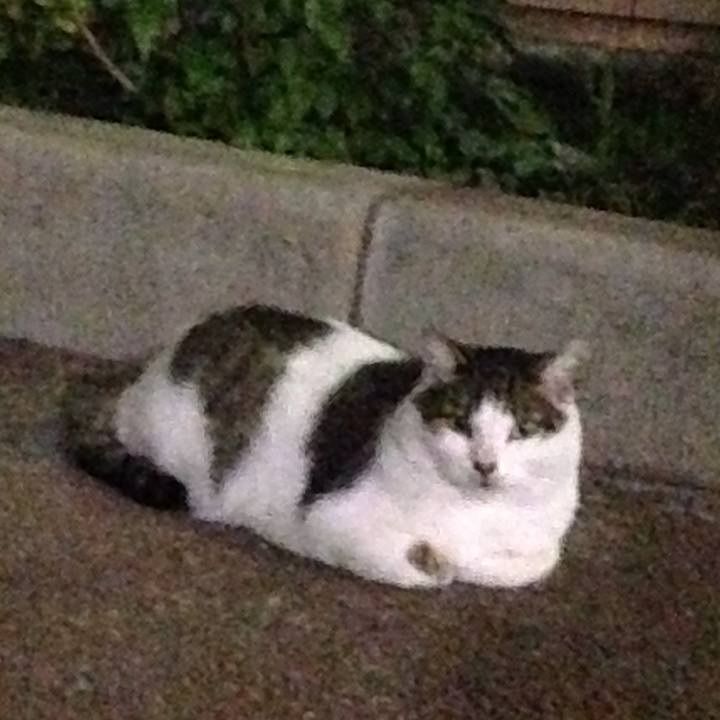 Bb34ae12 0743 42a6 a185 ad3819add63a 1507643511801