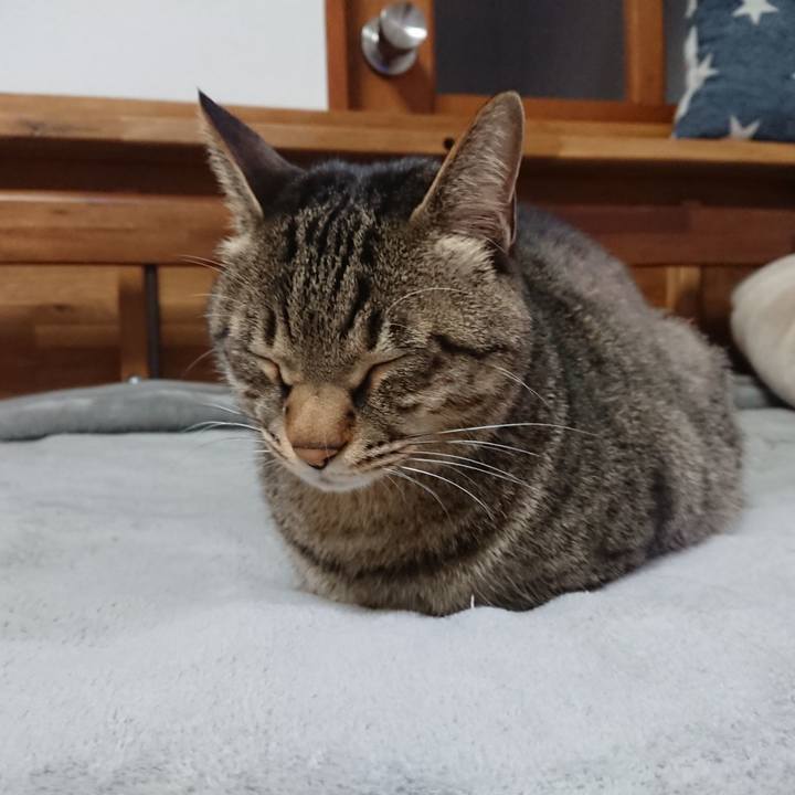 Bb34b853 d88e 44db 8d50 36b0cd42fef5 1584548822188