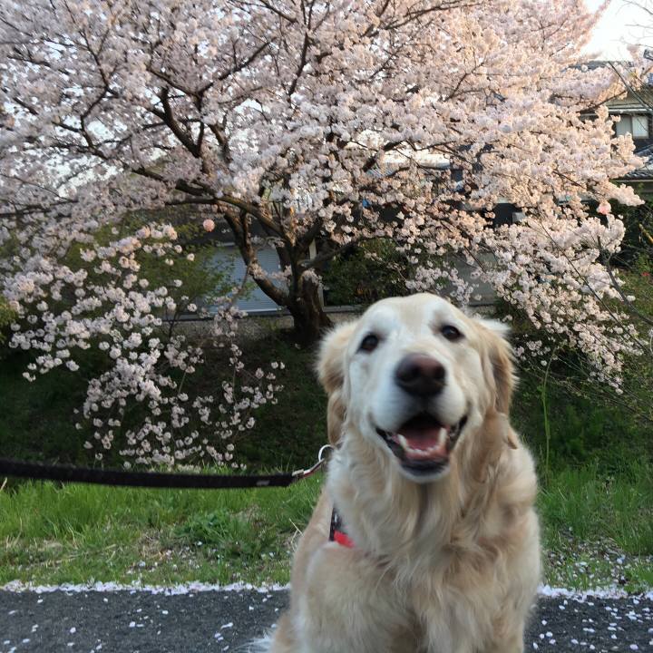 Bb34b9bf 0ccb 4480 a80d a7c2b839c93a 1522488572551