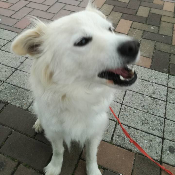 Bb34c4c1 2960 4a46 8c10 c2e8cb3e1403 1518665244955