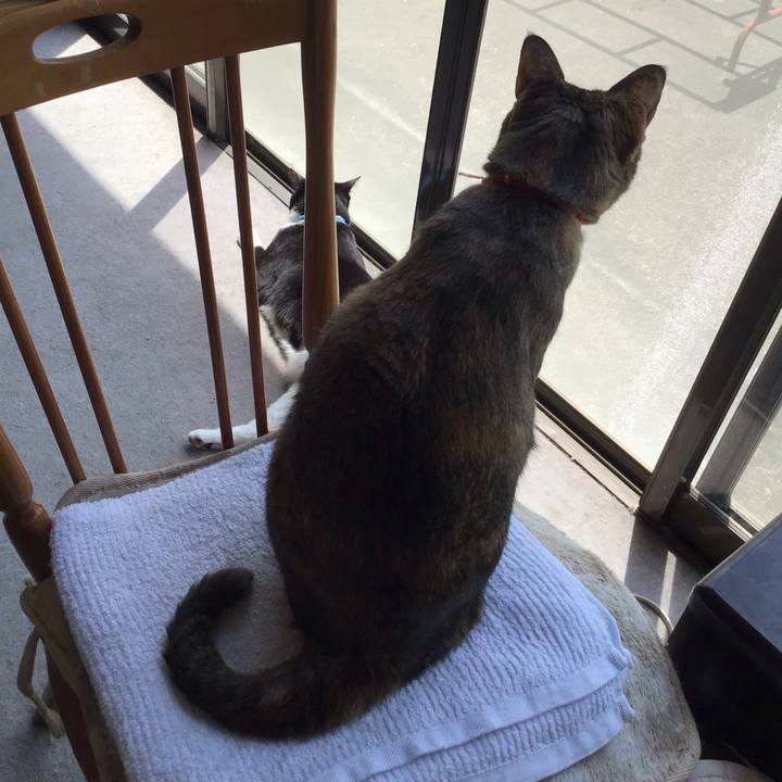 Bb354560 d360 430d 8de6 e9ba5bd57653 1682765703134