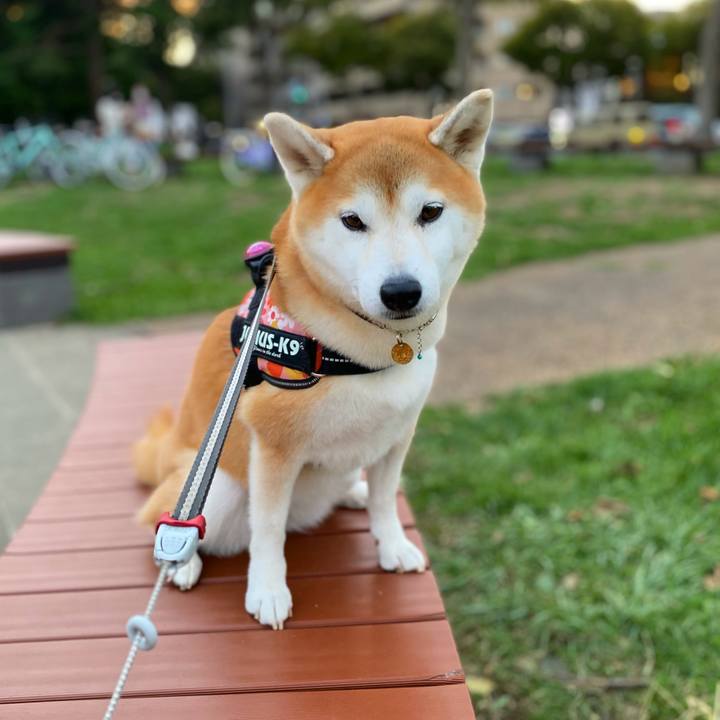 Bb3557d6 226a 4c38 859b 4d0ed9f3cafc 1631618319384