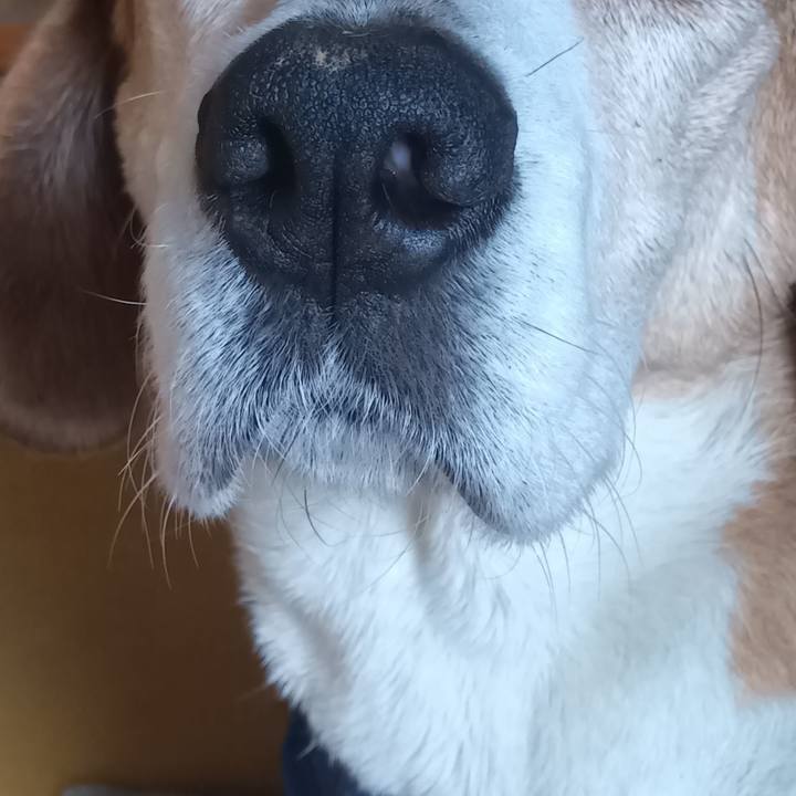 Bb35ed00 b51c 44df a878 194a79ce48f1 1749017003137