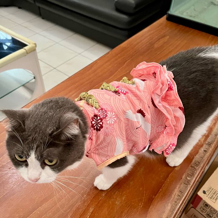 Bb35f29b c34d 43b4 8a96 525b70b2e6c4 1771319737449