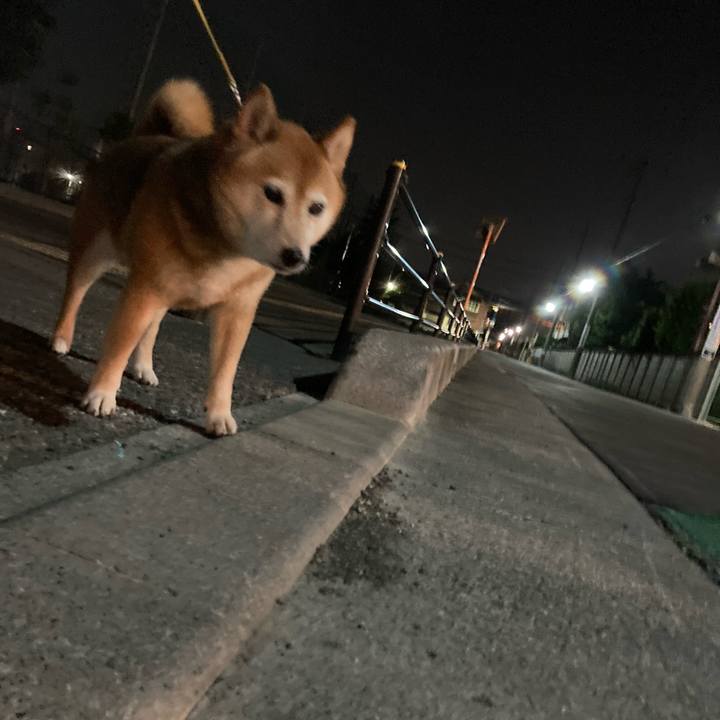 Bb362e7d 1db1 4e57 a0d7 95e67ff2ef65 1652912154363